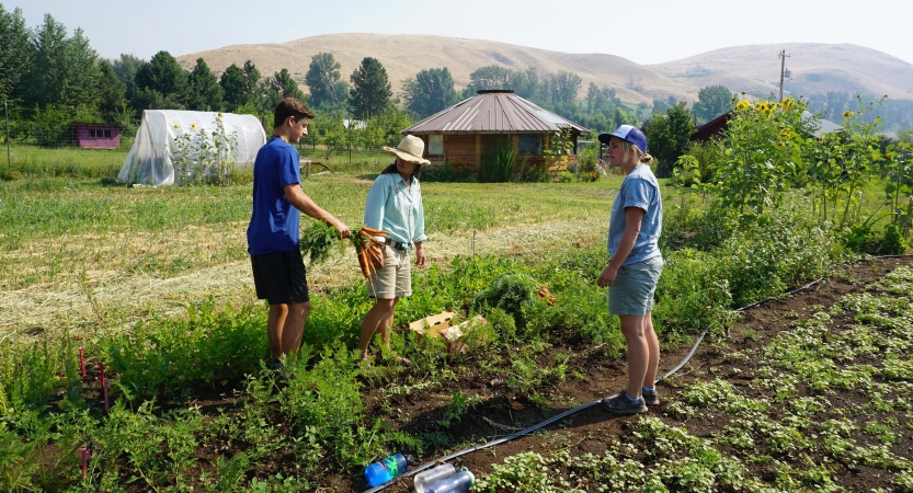 Three people work in a garden during a service project.
